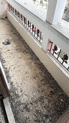 Image of 1100 Sq.ft 3 BHK Apartment / Flat for sale in Airport Gate no. 1, Kolkata for Rs. 3600000