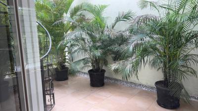 Image of 1841 Sq.ft 3.5 BHK Villa for sale in Verla, Goa for Rs. 26000000