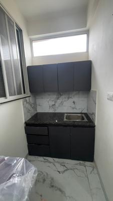 Kitchen Image of 350 Sq.ft 1 RK Apartment / Flat for rent in L I G Colony Indore for Rs. 14599