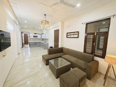 Hall Image of 1300 Sq.ft 2.5 BHK Builder Floor for rent in Sector 69 Gurgaon for Rs. 35000