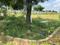 Uttam Shyamashish Park Main Image 1