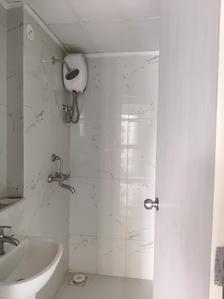 Common Bathroom Image of 489 Sq.ft 1 BHK Apartment / Flat for rent in Runwal Gardens Phase 3 Bldg No 24 To 26, Dombivli East Thane for Rs. 10991