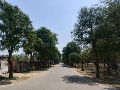 Residential Plot