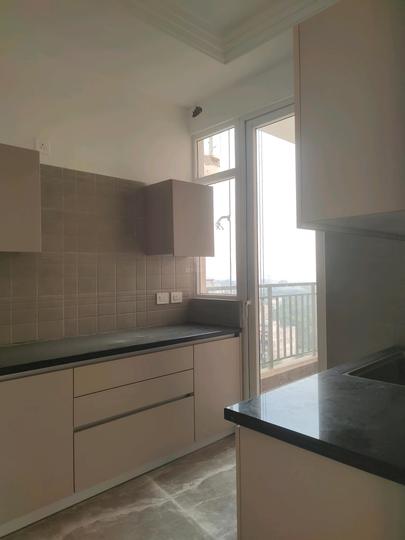 ACE Ace Starlit Main Image 1