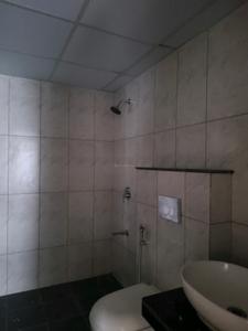 Common Bathroom Image of 850 Sq.ft 2 BHK Apartment / Flat for rent in Gera World Of Joy, Upper Kharadi Pune for Rs. 35000