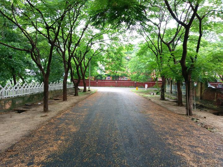 Gulmohar Estate, Eta I Main Image 1