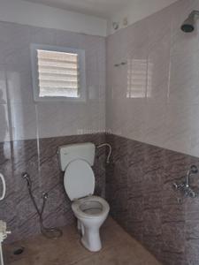 Bathroom Image of 850 Sq.ft 2 BHK Apartment / Flat for rent in Kumbalgodu Bengaluru for Rs. 10000