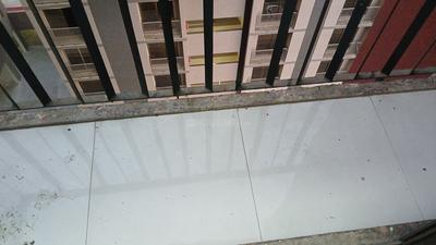 Balcony Image of 780 Sq.ft 1 BHK Apartment / Flat for rent in Vinayak Prestige Riona, Palanpur Surat for Rs. 20500