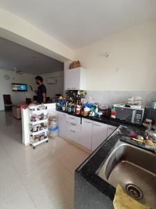 Kitchen Image of 1542 Sq.ft 2 BHK Apartment / Flat for sale in Sankalp Alexa Homes, Jagatpura Jaipur for Rs. 5540000