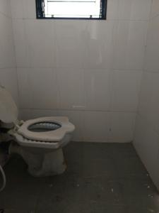 Common Bathroom Image of 1000 Sq.ft 2 BHK Apartment / Flat for rent in Magarpatta Roystonea, Magarpatta City Pune for Rs. 38000