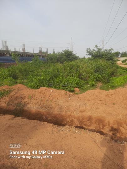 Patharagadia Main Image 1