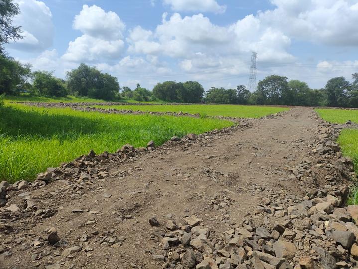 Balaji silgour Main Image 1