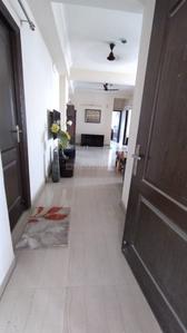 Hall Image of 1550 Sq.ft 3 BHK Apartment / Flat for rent in Saviour Greenisle, Crossings Republik Ghaziabad for Rs. 18000