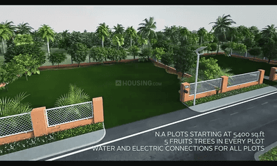 Residential Plot