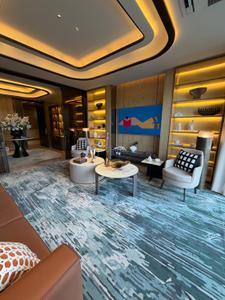 Living Room Image of 6041 Sq.ft 5 BHK Apartment / Flat for sale in Mullanpur Mohali for Rs. 65000000