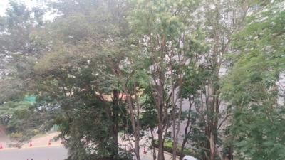 Image of 650 Sq.ft 1 BHK Apartment / Flat for rent in L And T Raintree Boulevard, Sahakara Nagar, Bengaluru for Rs. 46000
