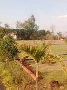 Colony Plot View 2