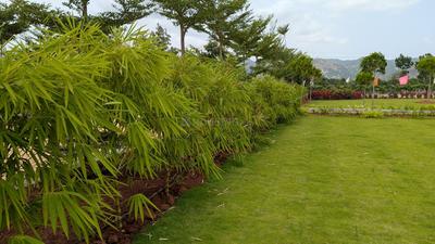 Image of 6000 Sq.ft Residential Plot / Land for sale in Yeswanthpur, Bengaluru for Rs. 4800000