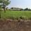 Kankipadu Plot View 2