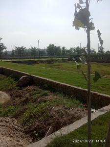 Residential Plot