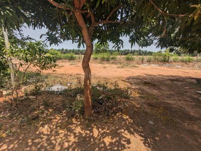 Image of 2620 Sq.ft Residential Plot / Land for sale in Nanjikottai, Thanjavur for Rs. 6550000