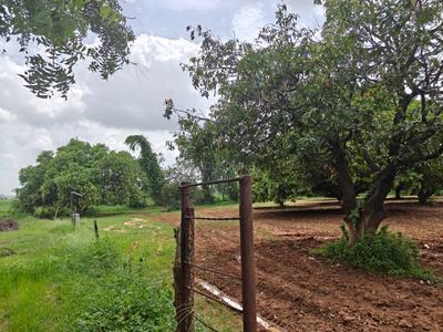 Image of 39300 Sq.ft Residential Plot / Land for sale in Kothapalle, Hyderabad for Rs. 60900000