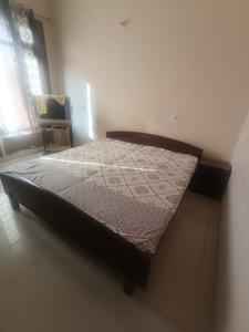 Bedroom Image of 2250 Sq.ft 3 BHK Builder Floor for rent in Sector 12A Panchkula for Rs. 29000