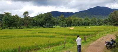 Image of 43560 Sq.ft Residential Plot / Land for sale in Kajubagh, Karwar for Rs. 3100000