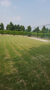 Image of 9072 Sq.ft Residential Plot / Land for sale in Dkrrish Green Beauty Farms, Sector 135, Noida for Rs. 8000000