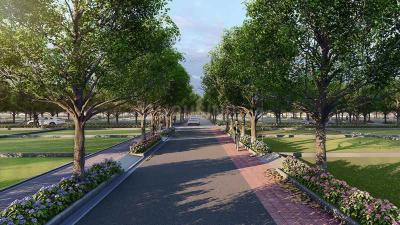 Tivoli Hills Plot View 3