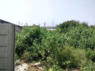 Image of 2250 Sq.ft Residential Plot / Land for sale in Sector 11, Faridabad for Rs. 51000000