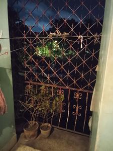 Balcony Image of 925 Sq.ft 2 BHK Apartment / Flat for sale in Classic Enclave, Ballygunge Kolkata for Rs. 5200000