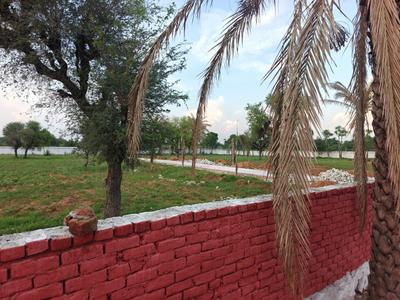 Image of 13275 Sq.ft 3 BHK Farm House for sale in Kalwad Road, Jaipur for Rs. 11210000