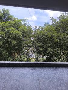 Living Room Image of 3150 Sq.ft 5 BHK Apartment / Flat for sale in Vajarahalli Bengaluru for Rs. 29000080