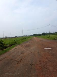 Swapnabhumi Internal Roads 1