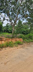 Image of 2600 Sq.ft Residential Plot / Land for sale in Chandaka, Bhubaneswar for Rs. 6000000