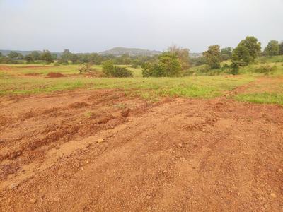 Image of 10764 Sq.ft Residential Plot / Land for sale in Trimbak, Nashik for Rs. 3451000