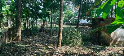 Image of 8276 Sq.ft Residential Plot / Land for sale in Kalady, Kochi for Rs. 10925000