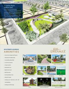 Iris Dreamz Plot View 2