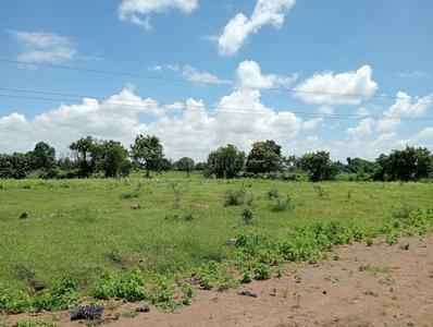 Image of 105 Sq.ft Residential Plot / Land for sale in Makhmalabad, Nashik for Rs. 3600000
