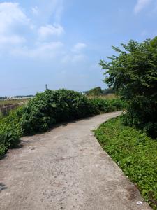 Image of 1440 Sq.ft Residential Plot / Land for sale in Joka, Kolkata for Rs. 399978