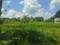 Diamond Park, Joka Plot View 2