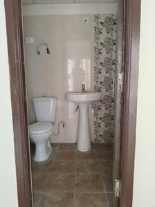 Bathroom Image of 1220 Sq.ft 2.5 BHK Apartment / Flat for rent in Amrapali Verona Heights, Noida Extension Greater Noida for Rs. 20000