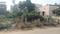 Kuniyamuthur Plot View 2