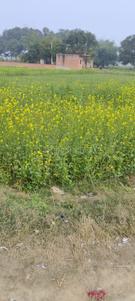 Image of 18900 Sq.ft Residential Plot / Land for sale in Mirzamurad, Varanasi for Rs. 17500000