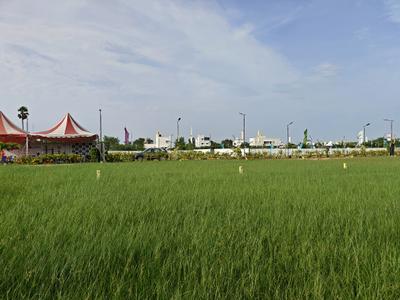 Image of 825 Sq.ft Residential Plot / Land for sale in Mannivakkam, Chennai for Rs. 3835425