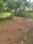 KONCHOWKI HOUSING SOCIETY Internal Roads 1