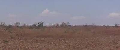 Image of 8000 Sq.ft Residential Plot / Land for sale in Pmpri Trimbak, Nashik for Rs. 15000000