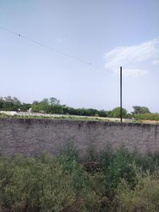 Chalsher kuberpur Plot View 1