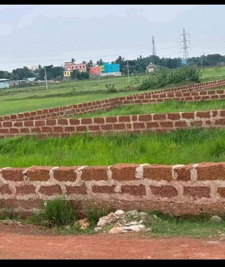 Safety aiims valleys Main Image 1